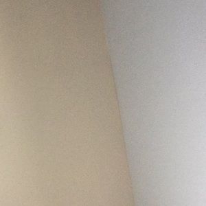 Meet your Posher, Anser